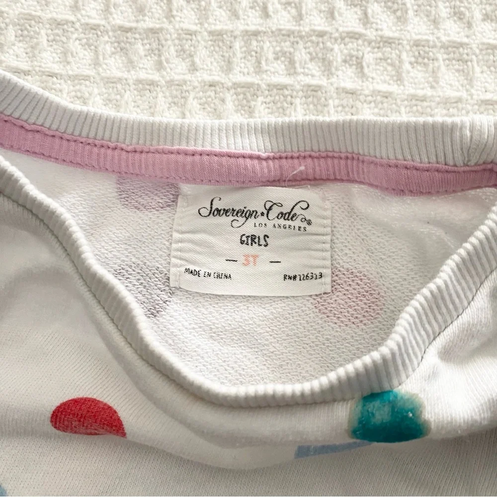 Girls size 3T clothing bundle Carter’s Crewcuts